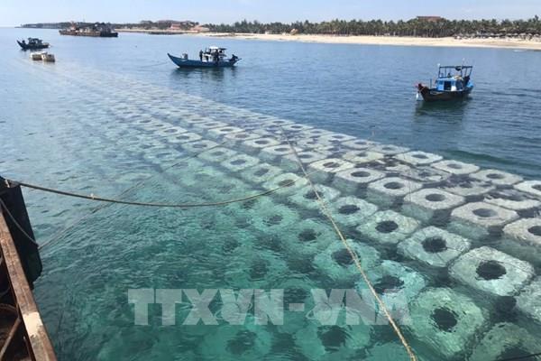 Xây dựng đê ngầm và tạo bãi chống sạt lở khẩn cấp bờ biển Cửa Đại