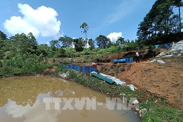 Xử phạt một người lấn chiếm đất rừng đặc dụng Đà Lạt