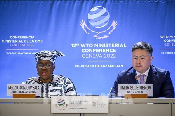 Hội nghị Bộ trưởng WTO lần thứ 12: Việt Nam ủng hộ hệ thống thương mại đa phương