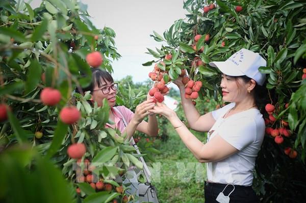 Trải nghiệm tour du lịch sinh thái cộng đồng tại Bắc Giang