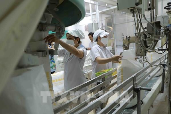 Hỗ trợ doanh nghiệp sản phẩm chế biến bột vượt rào cản xuất khẩu