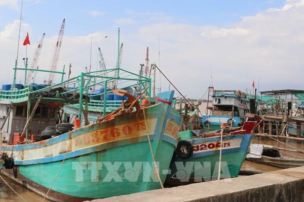 Khắc phục "thẻ vàng" IUU: Cần nỗ lực cao từ cộng đồng nghề cá