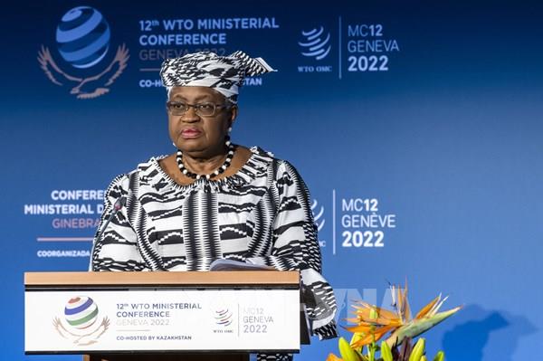 WTO kêu gọi đa dạng hóa chuỗi cung ứng để phục hồi thương mại