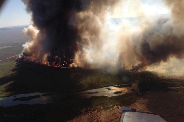 Mỹ: Cháy rừng tiếp tục lan rộng tại bang Arizona