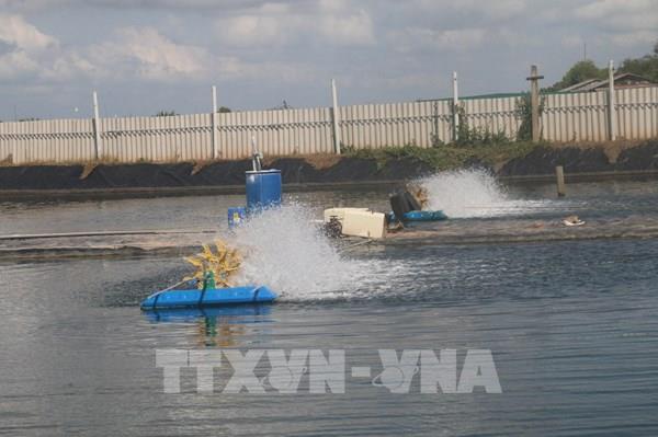 Nghề nuôi thủy sản phục hồi mạnh