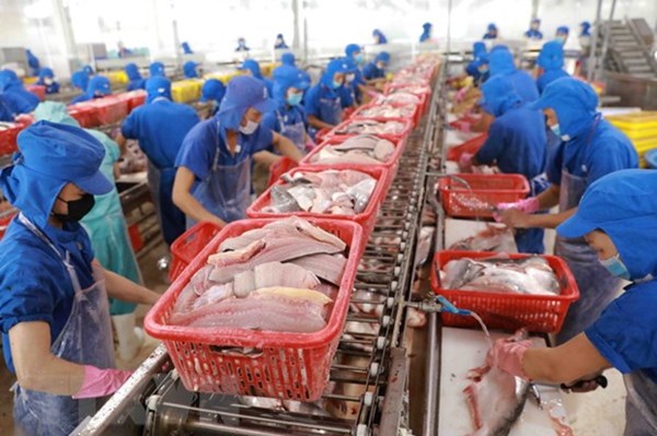 Tôm, cá tra tận dụng cơ hội thị trường đẩy mạnh xuất khẩu