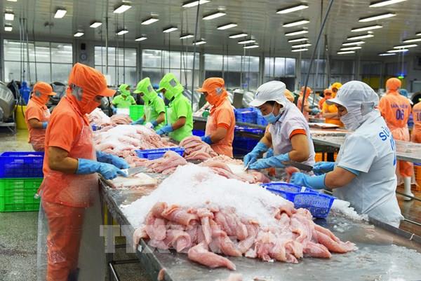Triển vọng tiêu thụ cá tra Việt Nam tại Mỹ năm 2023