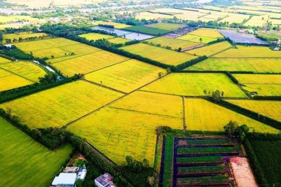 Cơ hội phát triển và định hình các giá trị mới cho vùng Đồng bằng sông Cửu Long