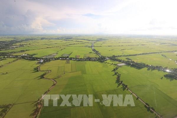 Dồn nguồn lực phát triển cho Đồng bằng sông Cửu Long