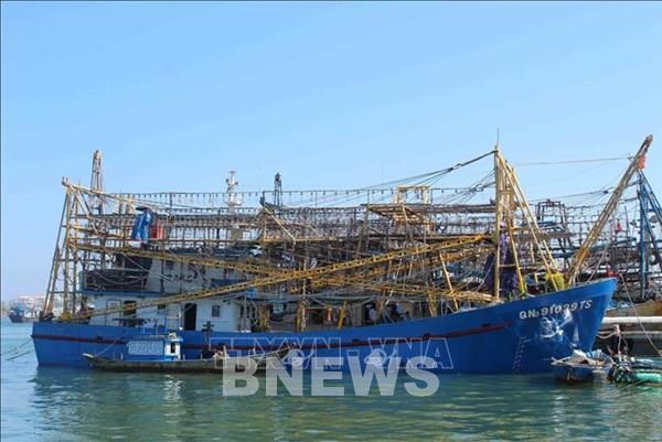 Khắc phục "thẻ vàng" IUU: Nghiệp đoàn nghề cá nỗ lực gỡ thẻ vàng