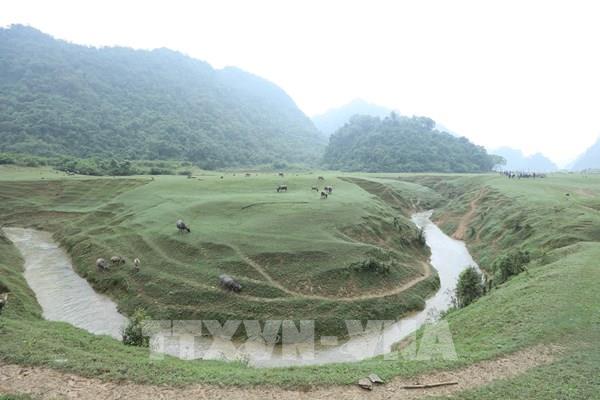 Ngắm thảo nguyên Đồng Lâm xứ Lạng