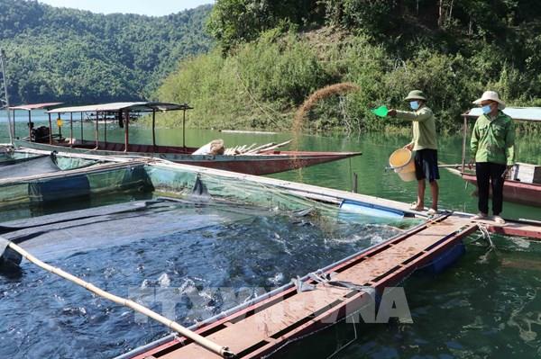 Hiệu quả từ chính sách hỗ trợ nông nghiệp với kinh tế Trung du và miền núi Bắc bộ