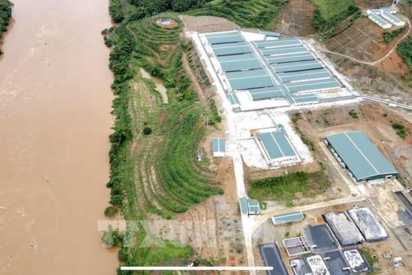 Phản hồi tin của TTXVN: Yên Bái lập đoàn kiểm cơ sở nuôi lợn ô nhiễm môi trường