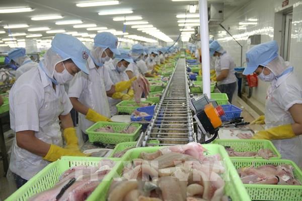 Nuôi thủy sản xuất khẩu theo quy hoạch vùng tập trung