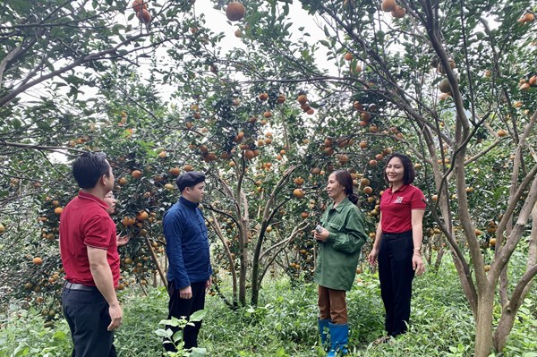 Triển khai gói hỗ trợ lãi suất 2%: Agribank đảm bảo đúng đối tượng