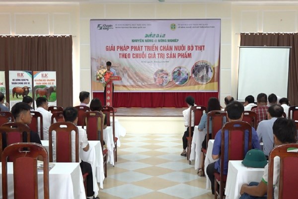 Xây dựng chuỗi liên kết sản xuất và tiêu dùng bò thịt