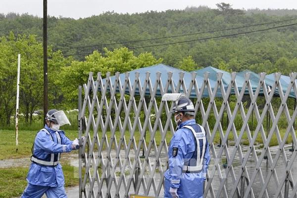 Cuộc sống hồi sinh tại thị trấn có nhà máy điện hạt nhân Fukushima số 1