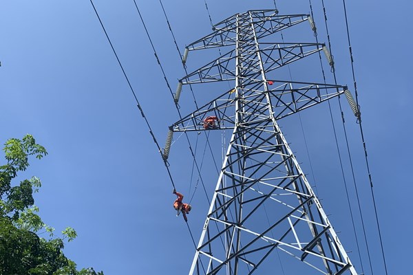 Đảm bảo truyền tải điện an toàn, ổn định, liên tục trong mùa nắng nóng tại tỉnh Bình Thuận