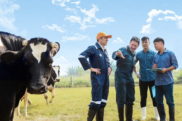 FrieslandCampina - Thành công nhờ con đường phát triển bền vững