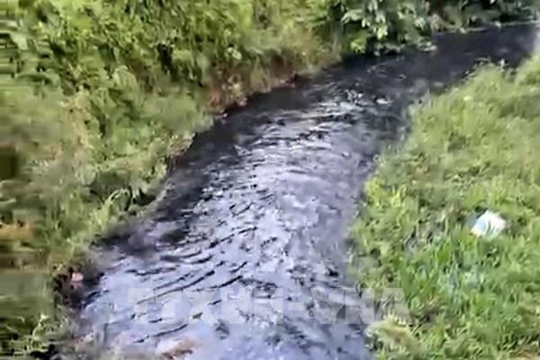 Bà Rịa-Vũng Tàu yêu cầu kiểm tra, xử lý dứt điểm tình trạng ô nhiễm tại suối Giao Kèo