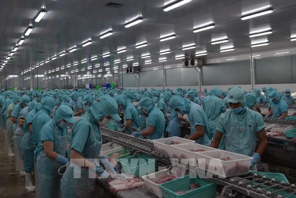 Xuất khẩu thủy sản khó khăn khiến giá nguyên liệu có xu hướng giảm