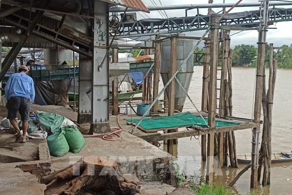 An Giang: Nguy cơ sạt lở bờ sông Kênh Xáng