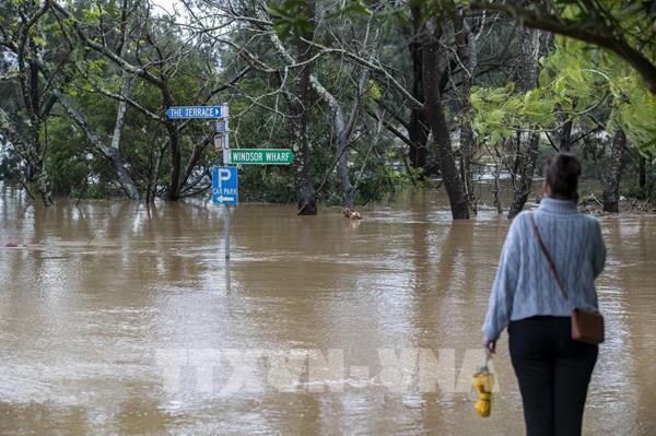 Thêm hàng chục nghìn người phải sơ tán tránh lũ tại Australia