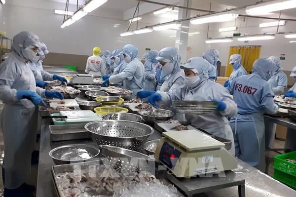 Xuất khẩu nông, lâm, thủy sản đạt kỷ lục mới trên 53,2 tỷ USD