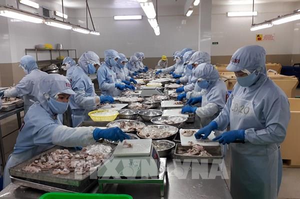 Kim ngạch xuất khẩu của Việt Nam sang Australia tăng 42%