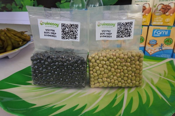 Vinasoy thu thập, nghiên cứu hơn 1.500 nguồn gen đậu nành quý