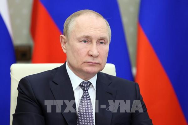 Tổng thống Putin: Nga không từ bỏ đàm phán hòa bình về Ukraine