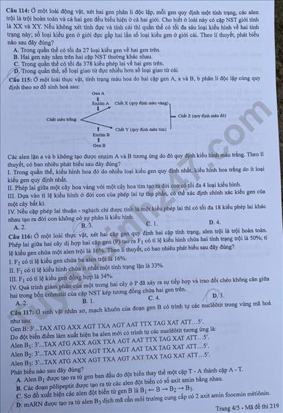 Phạt tù hai cựu chuyên gia làm lộ câu hỏi thi tốt nghiệp THPT năm 2021