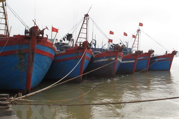 Bình Định nhiều tàu thuyền nằm bờ vì giá xăng dầu tăng 