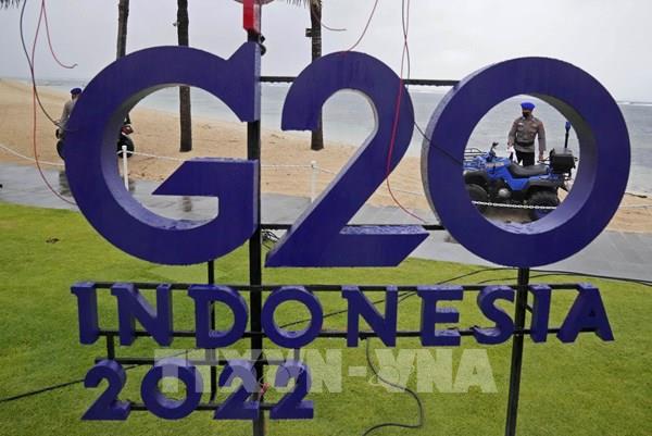 Các nước tìm giải pháp cho vấn đề khan hiếm lương thực toàn cầu