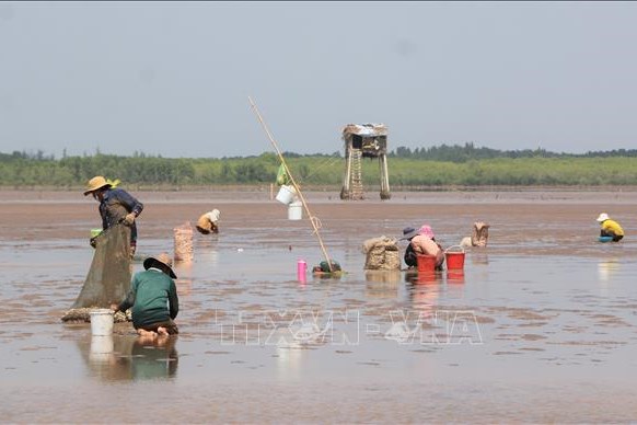 Trà Vinh chấm dứt 7 dự án đầu tư