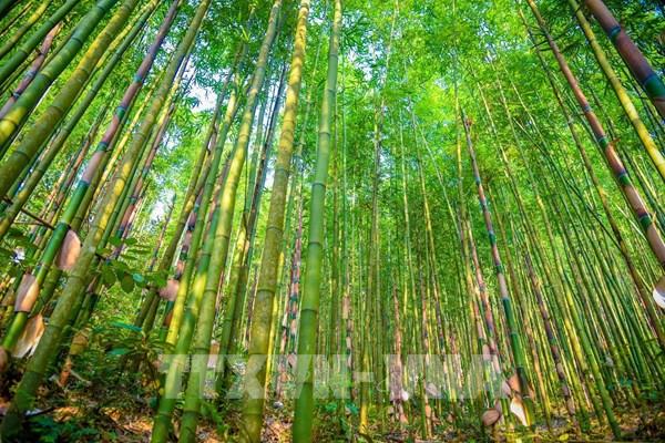 Khám phá điểm Lũng Slàng (Lạng Sơn)