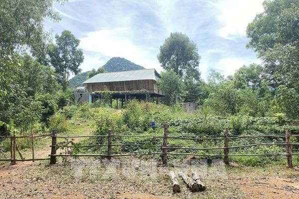 Bình Định: Vụ lấn chiếm đất rừng phòng hộ liên quan đến người nhà cán bộ