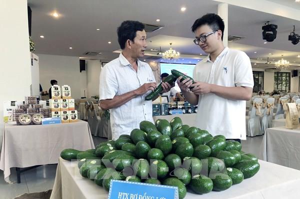 Nông sản nâng chất lượng tìm đường thương mại hóa