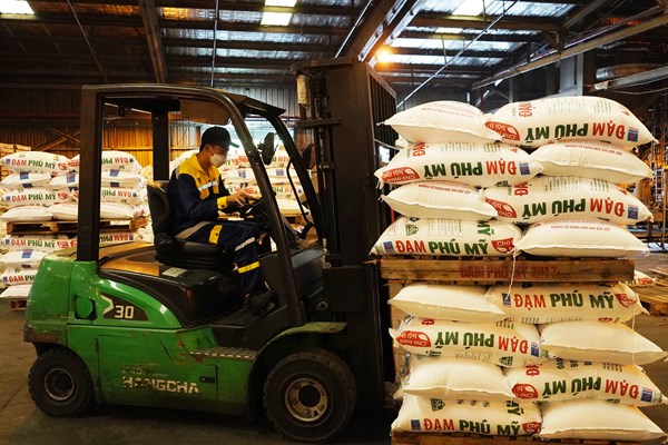 Thị trường phân bón: Giá ure thế giới tăng, giá phân bón trong nước ổn định