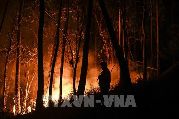 Hàng trăm lính cứu hỏa chật vật khống chế cháy rừng ở Tây Ban Nha