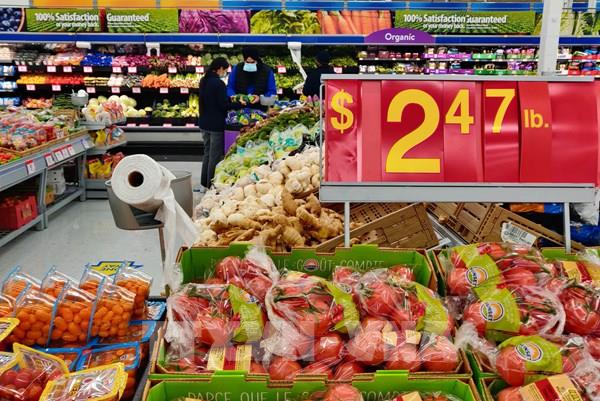 Welthungerhilfe khuyến cáo về hệ lụy của giá thực phẩm tăng cao