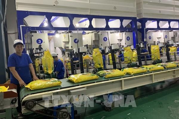 Thị trường nông sản tuần qua: Giá lúa, gạo tiếp tục tăng khá