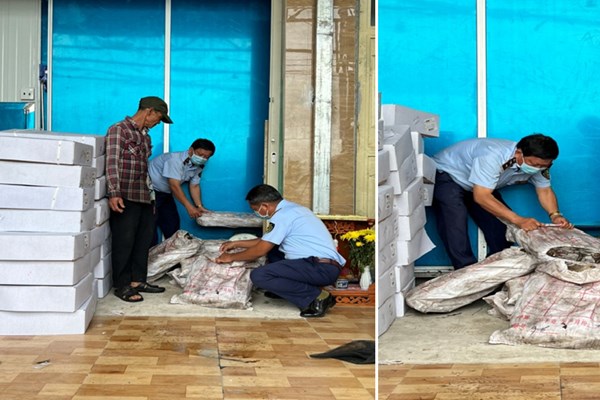 400 kg thực phẩm đông lạnh không rõ nguồn gốc, xuất xứ bị quản lý thị trường tạm giữ