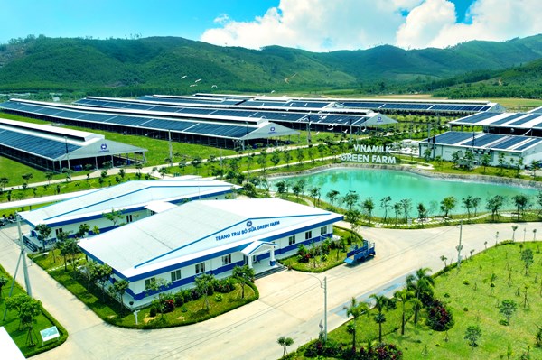 Xu hướng xanh hóa trong xây dựng thương hiệu