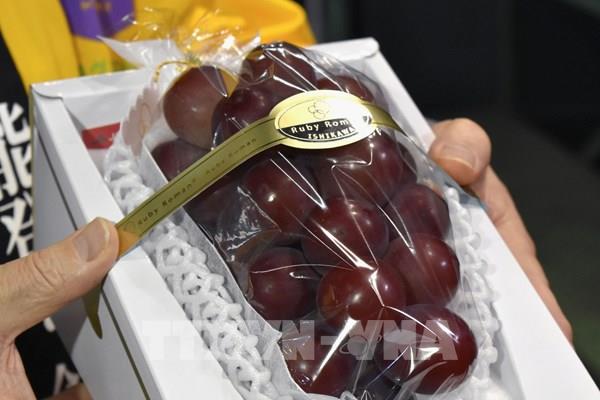 Chùm nho hảo hạng được bán đấu giá kỷ lục hơn 10.000 USD tại Nhật Bản