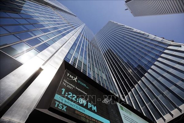 Chỉ số chứng khoán chủ chốt của Canada xác lập đáy mới trong 16 tháng
