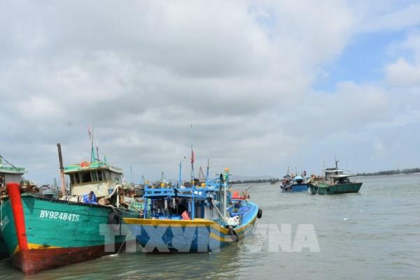 Quảng Ninh tạm dừng cấp phép phương tiện thủy ra khơi từ 12 giờ