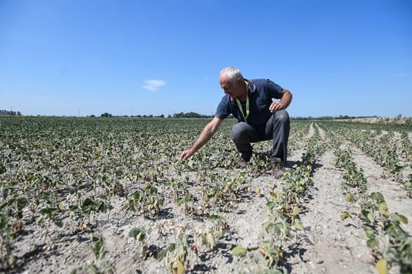 Italy dễ bị tổn thương do tình trạng biến đổi khí hậu