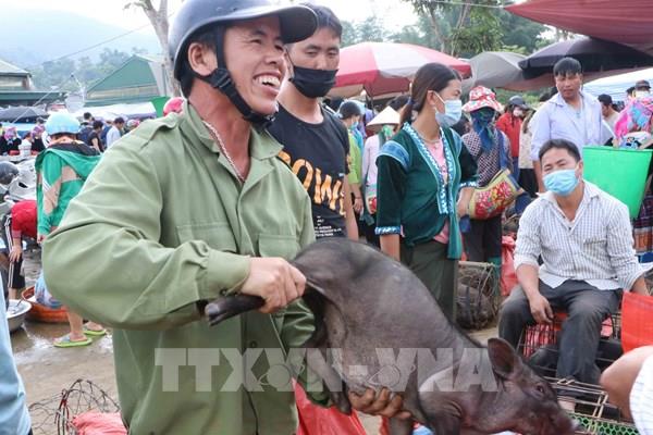 Độc đáo chợ lợn cắp nách ở Lai Châu