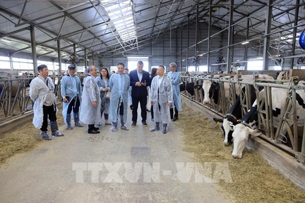 Dự kiến tháng 6/2023, Tập đoàn TH hoàn thành tổng thể dự án tại tỉnh Moskva